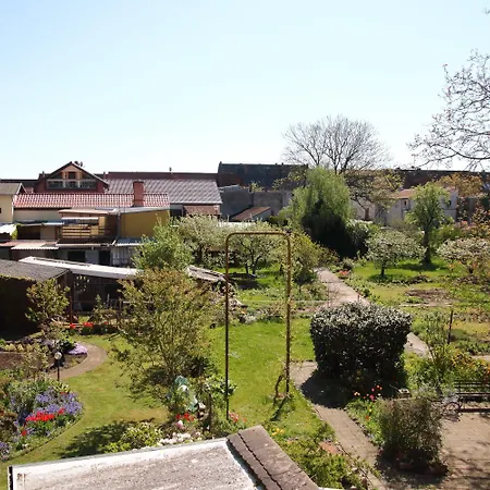 Gartenblick * Oranienbaum-Woerlitz