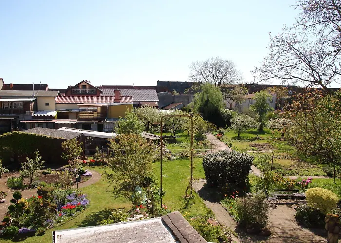 Gartenblick * Oranienbaum-Woerlitz